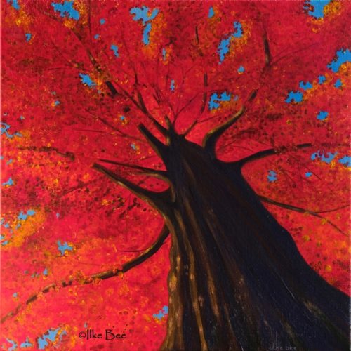 tree canopy - red maple (acrylic on canvas 60x60cm)
